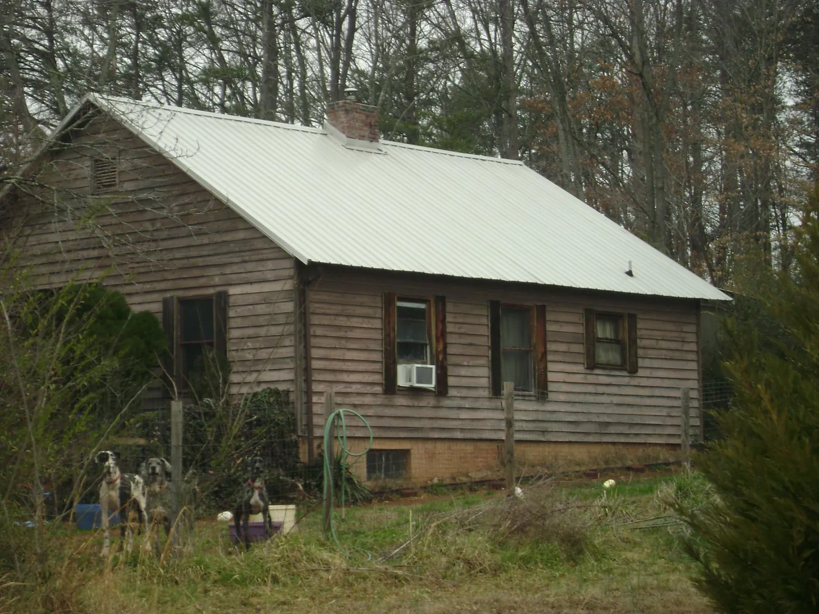White metal roof on an old wood sided farmhouse, from a Metal Roof Installation job in Cloverdale